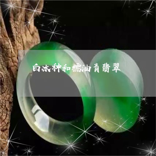 白冰种和糯油青翡翠/2023041353704
