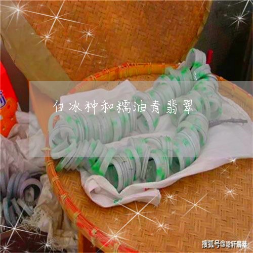 白冰种和糯油青翡翠/2023041372725