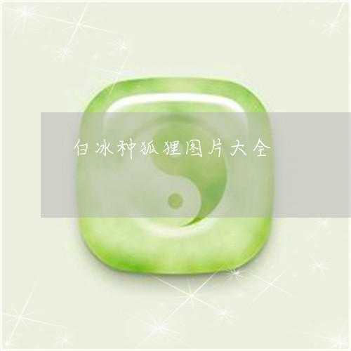 白冰种狐狸图片大全/2023041341487 白冰种狐狸图片大全/2023041341487