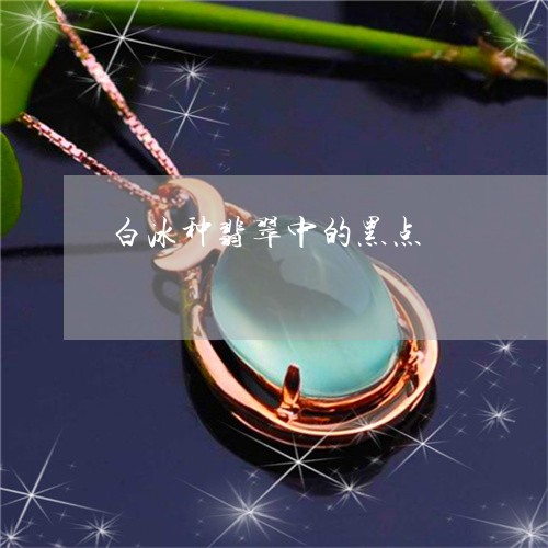 白冰种翡翠中的黑点/2023041395027