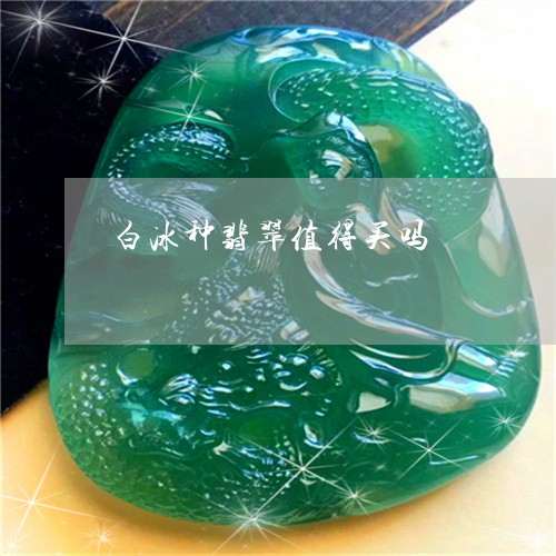 白冰种翡翠值得买吗/2023041328069