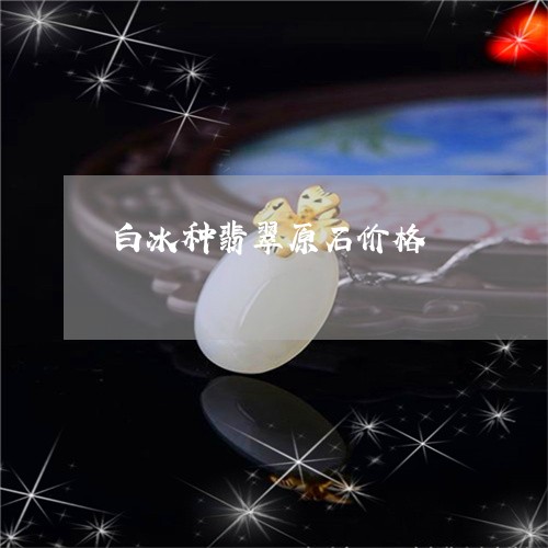 白冰种翡翠原石价格/2023041333735 白冰种翡翠原石价格/2023041333735