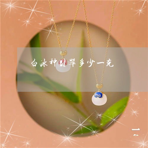 白冰种翡翠多少一克/2023041382703