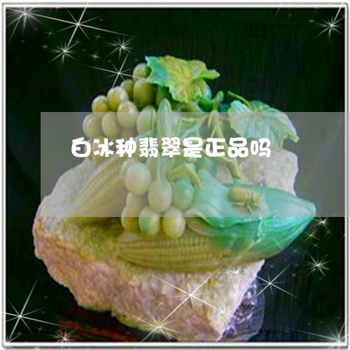 白冰种翡翠是正品吗/2023041339151