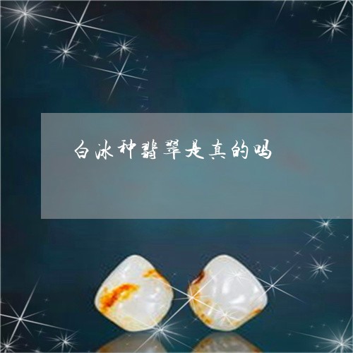 白冰种翡翠是真的吗/2023041307349