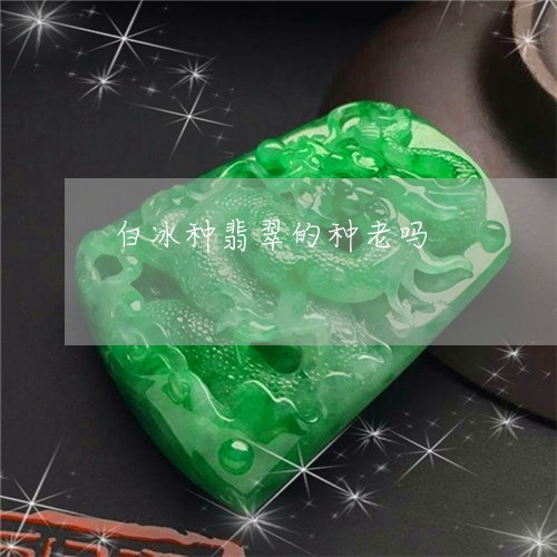 白冰种翡翠的种老吗/2023041371703