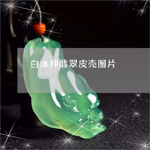 白冰种翡翠皮壳图片/2023041348351 白冰种翡翠皮壳图片/2023041348351