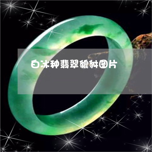 白冰种翡翠貔貅图片/2023041395948 白冰种翡翠貔貅图片/2023041395948