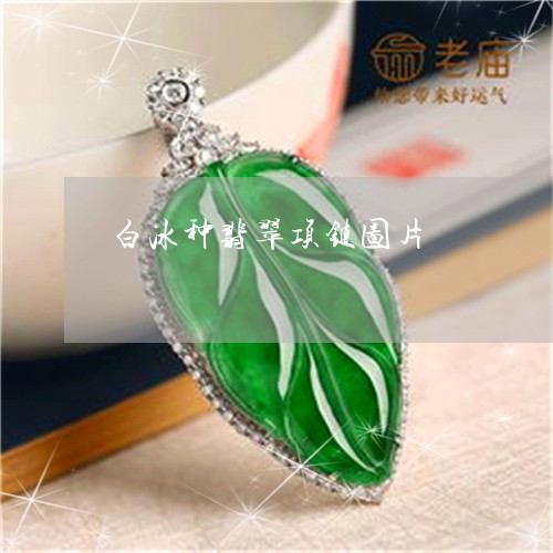 白冰种翡翠项链图片/2023041363604