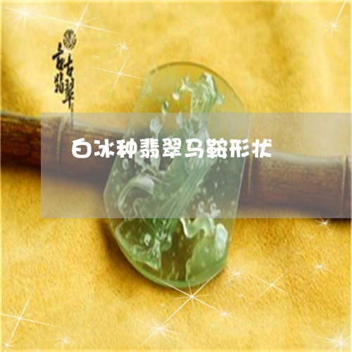 白冰种翡翠马鞍形状/2023041339614 白冰种翡翠马鞍形状/2023041339614