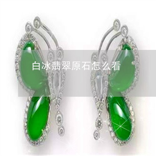 白冰翡翠原石怎么看/2023041328582