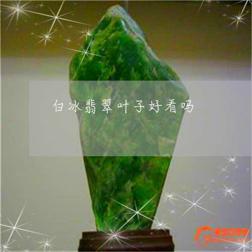 白冰翡翠叶子好看吗/2023041394715