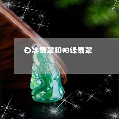 白冰翡翠和阳绿翡翠/2023041385126