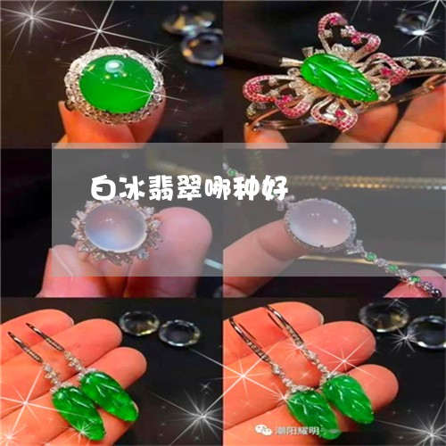 白冰翡翠哪种好/2023032952514
