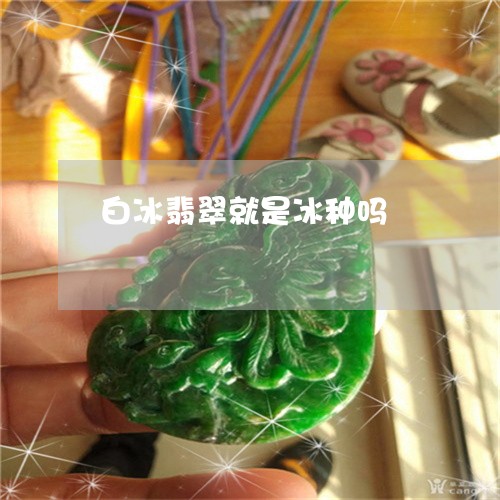 白冰翡翠就是冰种吗/2023041315058