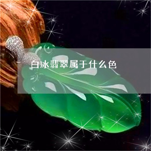 白冰翡翠属于什么色/2023041320313