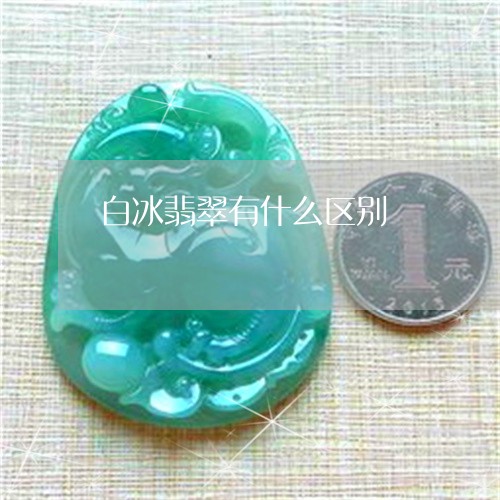 白冰翡翠有什么区别/2023041393847 白冰翡翠有什么区别/2023041393847