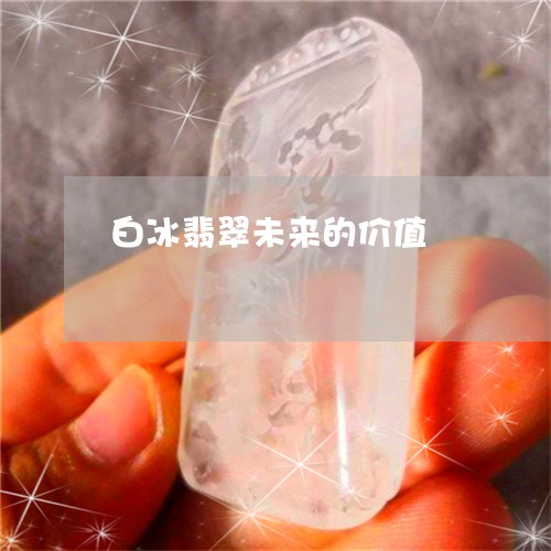 白冰翡翠未来的价值/2023041397038 白冰翡翠未来的价值/2023041397038