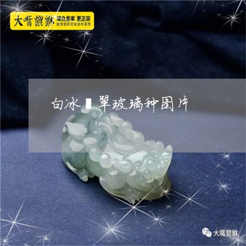 白冰翡翠玻璃种图片/2023041352725 白冰翡翠玻璃种图片/2023041352725