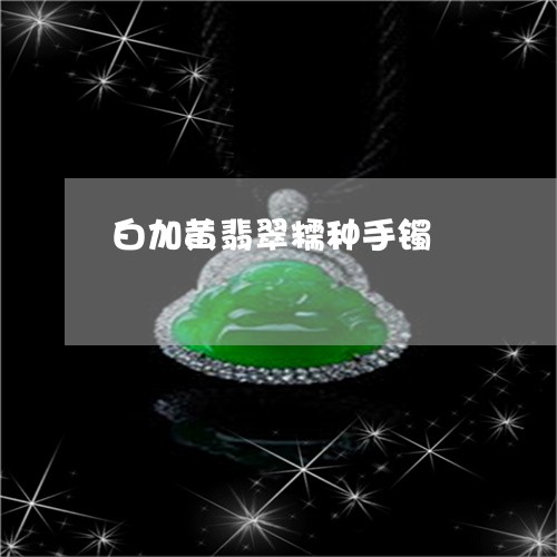 白加黄翡翠糯种手镯/2023041349461