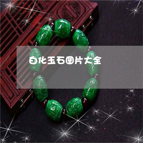 白化玉石图片大全/2023031613314 白化玉石图片大全/2023031613314