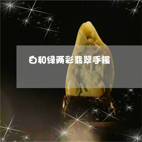 白和绿两彩翡翠手镯/2023041387158