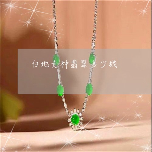 白地青种翡翠多少钱/2023041309605
