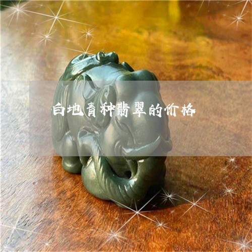 白地青种翡翠的价格/2023041370381 白地青种翡翠的价格/2023041370381