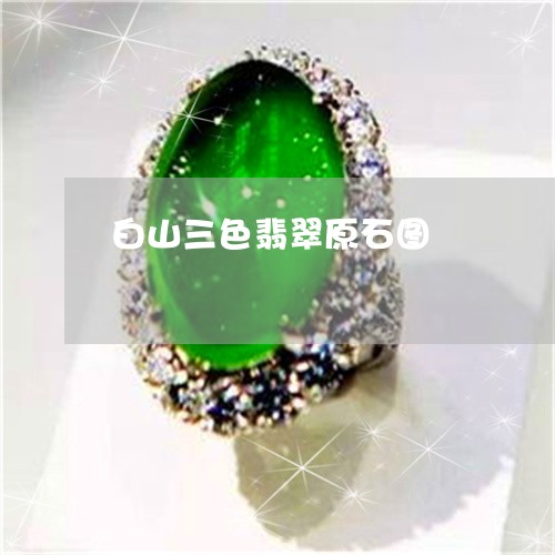 白山三色翡翠原石图/2023041395039 白山三色翡翠原石图/2023041395039