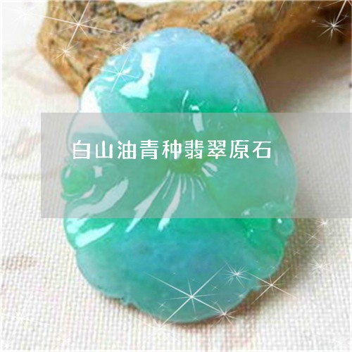 白山油青种翡翠原石/2023041306259 白山油青种翡翠原石/2023041306259