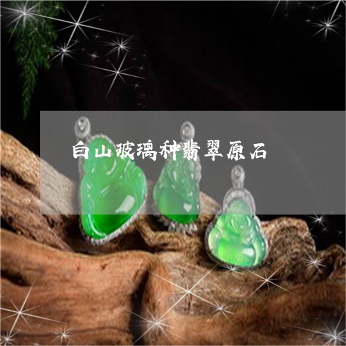 白山玻璃种翡翠原石/2023041329261
