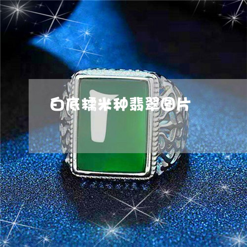 白底糯米种翡翠图片/2023041342614