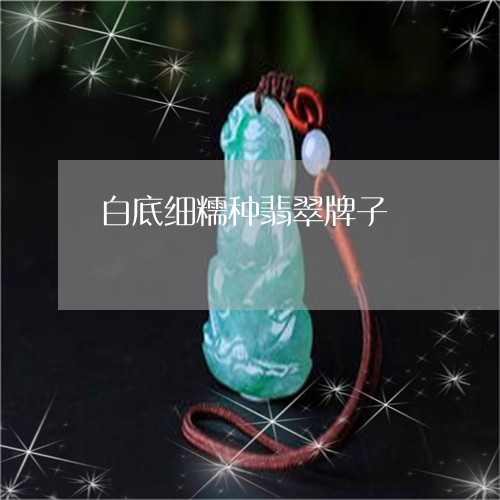 白底细糯种翡翠牌子/2023041361606 白底细糯种翡翠牌子/2023041361606