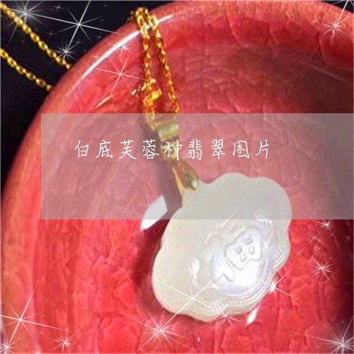 白底芙蓉种翡翠图片/2023041360374 白底芙蓉种翡翠图片/2023041360374