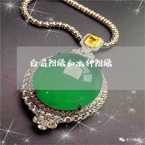 白底阳绿和冰种阳绿/2023041373816