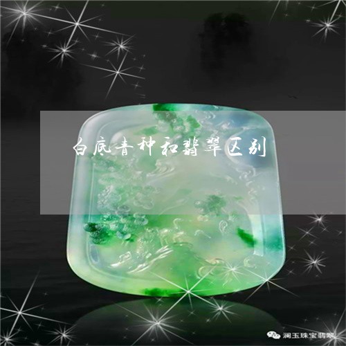 白底青种和翡翠区别/2023041332604