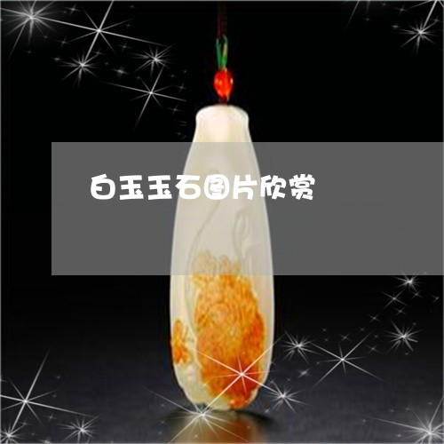 白玉玉石图片欣赏/2023031631695
