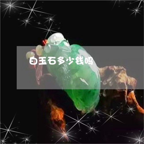 白玉石多少钱吗/2023033084936
