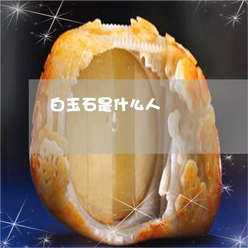 白玉石是什么人/2023033095714 白玉石是什么人/2023033095714