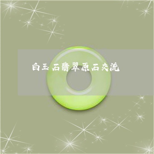 白玉石翡翠原石交流/2023041316351 白玉石翡翠原石交流/2023041316351