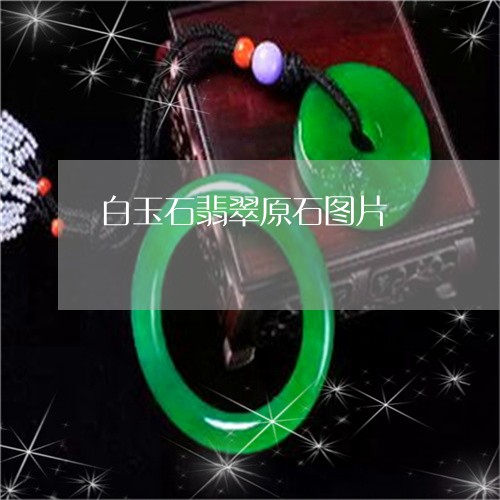 白玉石翡翠原石图片/2023041339591