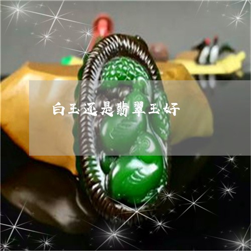 白玉还是翡翠玉好/2023031663807 白玉还是翡翠玉好/2023031663807