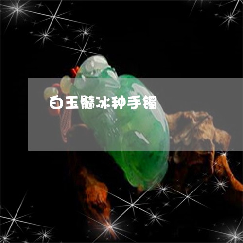 白玉髓冰种手镯/2023032998470 白玉髓冰种手镯/2023032998470