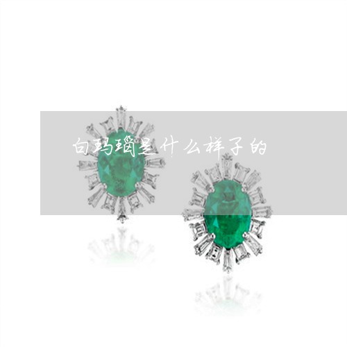 白玛瑙是什么样子的/2023041351616