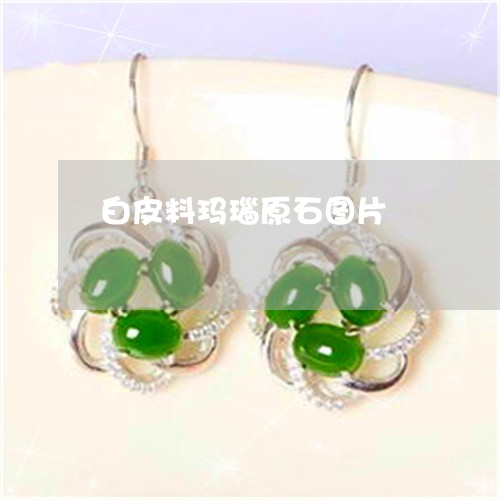 白皮料玛瑙原石图片/2023041396936