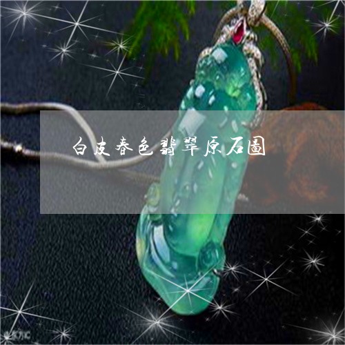 白皮春色翡翠原石图/2023041328160