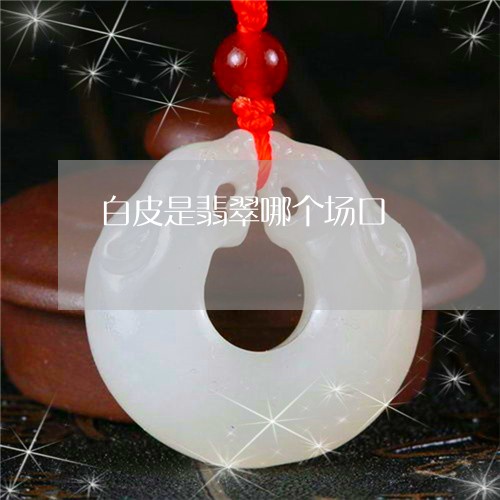 白皮是翡翠哪个场口/2023041316159