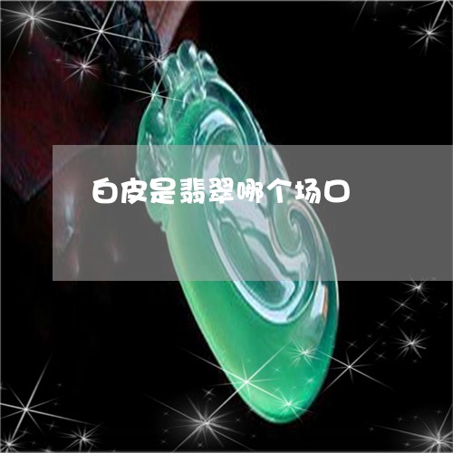 白皮是翡翠哪个场口/2023041397160