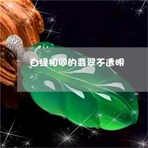 白绿相间的翡翠不透明/2023021567159 白绿相间的翡翠不透明/2023021567159