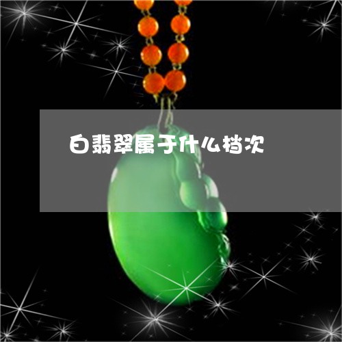 白翡翠属于什么档次/2023041396159 白翡翠属于什么档次/2023041396159